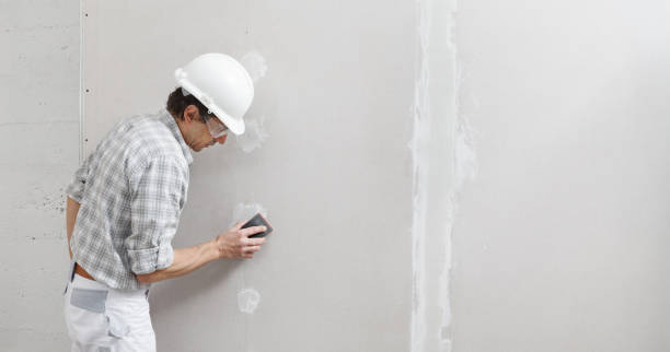 Best Drywall Removal and Disposal  in Oberlin, OH